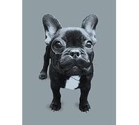 Pyramid International Francoise-Stampa su Tela, 60 x 80 cm, Multicolore