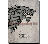 Pyramid International Game of Throne Stark