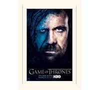 Pyramid International Games of Thrones (Season 3-Sandor) - Memorabilia, Formato 30 x 40 cm, Carta, Multicolore, 30 x 40 x 1.3 cm