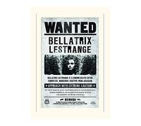 Pyramid International - Harry Potter (Bellatrix Wanted) - Montato Stampa Memorabilia 30 x 40 cm, Carta, Multicolore, 30 x 40 x 1.3 cm