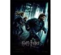 Pyramid International Harry Potter (Deathly Hallows Part 1)" Framed Print Memora