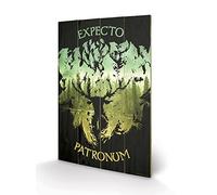 Pyramid International Harry Potter (Expecto Patronum) -Wood Print 40 x 59cm, Mul