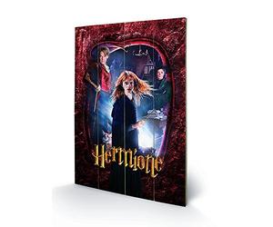 Pyramid International Harry Potter Hermione Wood Print 40 x 59cm, Multi-Colour,