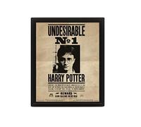 Pyramid International - Harry Potter/Sirius 3D lenticolare poster, nero, 10 x 8