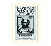 Pyramid International - Harry Potter (Sirius Wanted) - Montato Stampa Memorabilia 30 x 40 cm, Carta, Multicolore, 30 x 40 x 1.3 cm
