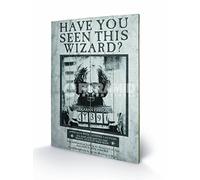 Pyramid International Harry Potter Sirius Wanted Wood Print, Multi-Colour, 40 x