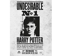 Pyramid International - Harry Potter (Undesirable No. 1) - Stampa su Tela 30 x 40 cm, Legno, Multicolore, 30 x 40 x 1.3 cm