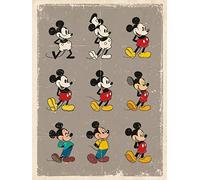 Pyramid International Mickey Mouse Evolution Retro Canvas Print Cotone, Multicolore, 30 x 40 x 1,3 cm