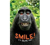 Pyramid International Monkey Maxi Poster, Legno, Multicolore