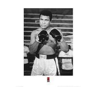 Pyramid International Muhammad Ali (Pose) - Stampa Artistica 60 x 80 cm, Carta, Multicolore, 60 x 80 x 1.3 cm
