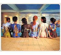 Pyramid International Pink Floyd (Back Catalogue) - Stampa su Tela 85 x 120 cm, Legno, Multicolore, 85 x 120 x 1.3 cm