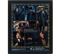 Pyramid International Poster 3D Fantastic Beasts The Secrets of Silente 25 cm x 20 cm x 1,3 cm, con cornice