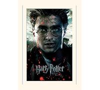 Pyramid International Potter (Deathly Hallows Part 2-Harry) - Memorabilia, Formato 30 x 40 cm, Carta, Multicolore, 30 x 40 x 1.3 cm