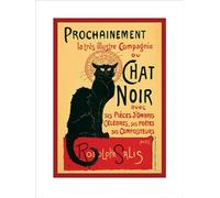 Pyramid International PPR40045 - Poster Chat Noir 60 x 80 cm