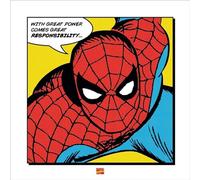 Pyramid International - Stampa artistica With Great Power Spider-Man, multicolore, 40 x 40 x 1,3 cm