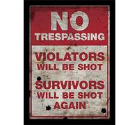 Pyramid International, Stampa con Cornice No Trespassing, Multicolore, 30 x 40 cm