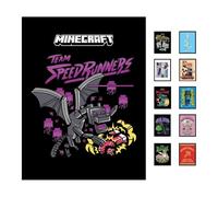 Pyramid International Stampa da collezione di Minecraft (Team Speedrunners) (incorniciata), 30 cm x 40 cm, poster artistico, poster e stampe, taglia unica