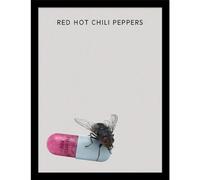Pyramid International Stampa da collezione Red Hot Chili Peppers (I'm With You) - 30 cm x 40 cm - Decorazione musicale con licenza ufficiale - Taglia unica
