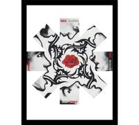 Pyramid International Stampa da collezione Red Hot Chili Peppers (rosa) - 30 cm x 40 cm - Decorazione musicale con licenza ufficiale - Taglia unica
