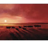 Pyramid International Stampa su Tela Zebu At Dusk, Multicolore, 60 x 80 cm