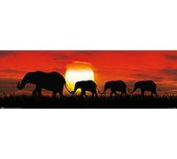 Pyramid International Sunset Elephants Slim Poster, Carta, Multicolore, 30 x 91.5 x 1.3 cm