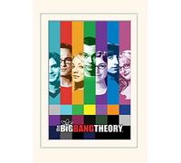 Pyramid International The Big Bang Theory (Signals) - Memorabilia, Formato 30 x 40 cm, Carta, Multicolore, 30 x 40 x 1.3 cm