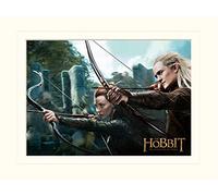 Pyramid International The Hobbit Dos (Tauriel And Legolas) - Memorabilia, Formato 30 x 40 cm, Carta, Multicolore, 30 x 40 x 1.3 cm