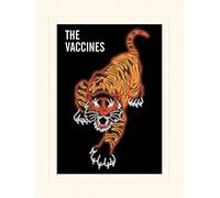 Pyramid International The Vaccines (Tiger) - Memorabilia, Formato 30 x 40 cm, Carta, Multicolore, 30 x 40 x 1.3 cm