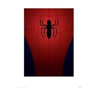 Pyramid International Torso Ultimate Spider-Man Stampa Artistica, Carta, Multicolore, 60 x 80 x 1.3 cm