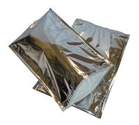 PZ 10 BUSTA TERMICA CM 23 X 35 COLORE ARGENTO SACCHETTO RICHIUDIBILE PER TRASPORTO ALIMENTI CONGELATI SURGELATI CHIUSURA ZIPLOCK