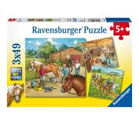 Pz. Il mio maneggio 3x49T 1 St