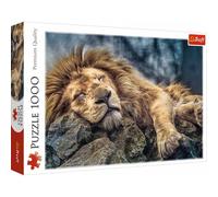 Pz. leone addormentato 1000T. 1 St