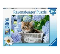 Pz. Piccolo gatto 300T 1 St