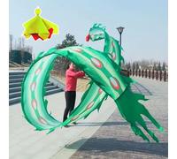 PZOFERLIN Nastro per Danza del Drago Borsa da Viaggio con Palla zavorrata Longboi Phoenix Feather Dance Fitness Ribbon(Green,8M)