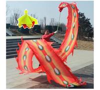 PZOFERLIN Nastro per Danza del Drago Borsa da Viaggio con Palla zavorrata Longboi Phoenix Feather Dance Fitness Ribbon(Red,6M)