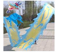 PZOFERLIN Nastro per Danza del Drago Nastro for Giocoleria Dragon Poi Fitness Multicolore, Diverse Misure(6 M (20 Ft))