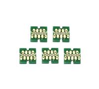 PZPSEQGM T6941 T6945 CHIP a cartuccia a inchiostro Compatibile con Surecolor T3000 T5000 T7000 T3070 T5070 T7070 T3270 T5270 T7270 T3200 T5200 T7200