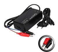 Q-Batteries BL 12-3 - Caricatore per batterie al piombo, 12 V, 3 A, carica IU0U