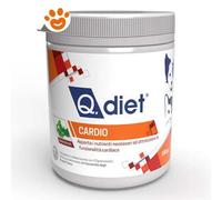 Cardio