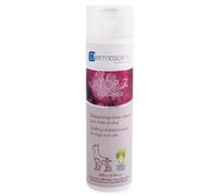 Q Vet Atop 7 Shampoo 200 Ml