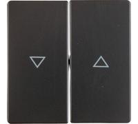 Q.X MODULO ANTRACITE VELLUTO PULSANTE PER TAPPARELLE 2X 16256086