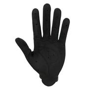 Q36.5 Guanti Dottore Pro