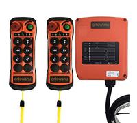 Q600 6 canali Pulsanti Telecomando per gru senza fili per Gru a ponte Gru a portale Industriale Paranco elettrico Trasmettitore e ricevitore radio (12-24V AC/DC(2T+1R))