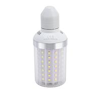 Qalvona LED Corn Bulb E27 20W 1350LM, Pure White, 85-265V - Alta Luminosità 360° Illuminazione, Lunga Durata 30000H, Uso Interno per Casa e Ufficio (Luce bianca pura 6000-6500k)