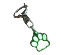 Qaonsciug Portachiavi a forma di artiglio incandescente, adorabile ciondolo a forma di animale, ornamento da appendere per borsa, zaino o auto, portachiavi novità, Verde, B