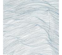 Qasim Naqvi, Wadada Leo Smith & Andrew Cyrille Two Centuries (CD) Album