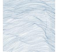 Qasim Naqvi, Wadada Leo Smith & Andrew Cyrille Two Centuries (CD) Album