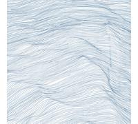 Two Centuries - Qasim Naqvi / Wadada Leo Smith / Andrew Cyrille (Vinile)