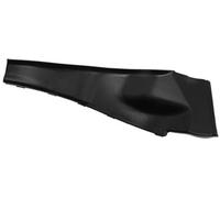 QASULER 66894-3TA0A Sostituzione del pannello di copertura del tergicristallo dell'angolo anteriore destro, for NISSAN, Altima 2013 2014 2015 2016 2017 Rivestimento di estensione del cofano lato passe