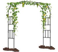 QATGQBCF 120×240cm Patio Arco Arrampicata Vite Telaio, Decorativo Arco pianta fioriera, Fiore e Verdura in Crescita Stand(200x240cm)